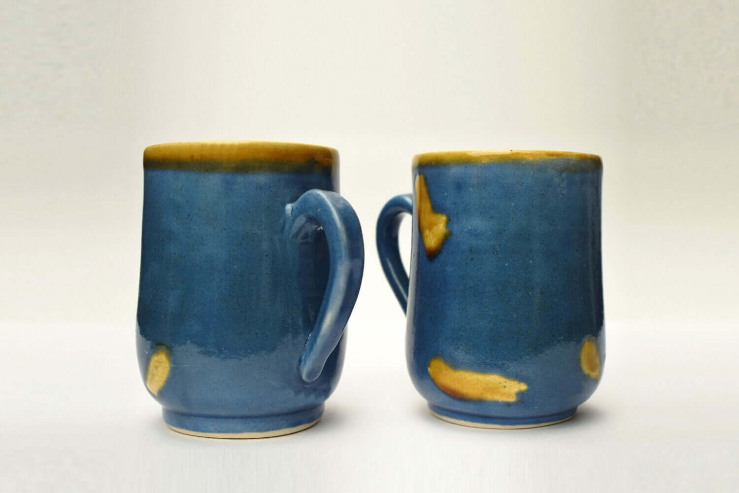 Blue Leaf Ceramic Coffee Mug Set of 2 | Earthan 